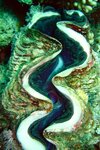 redseasept2003a192.jpg