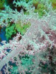 dsc00015.jpg