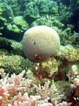 dsc00105.jpg