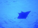 dsc000641.jpg