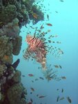 dsc0002533.jpg